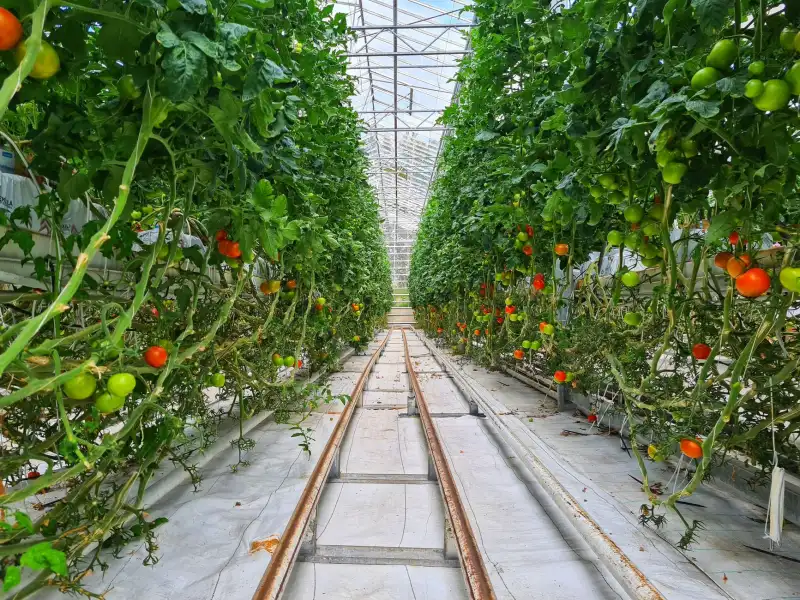 西安艺术培训行业2025年最新政策要点解读与合规建议