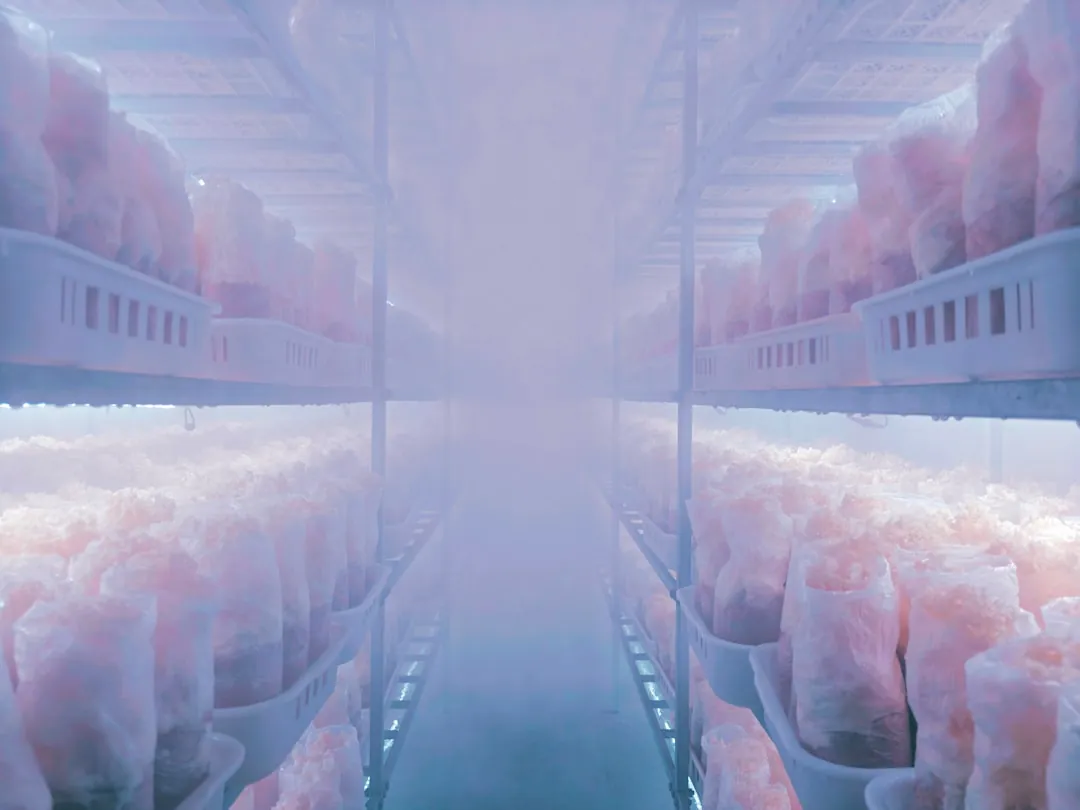 西安艺知诺艺术培训学校2025年美术考级新规解读与备考策略正文配图 2